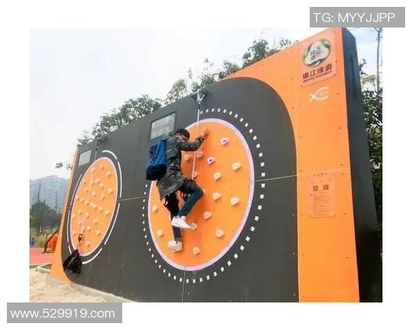 武汉攀岩队的成功运营模式与发展潜力深度解析