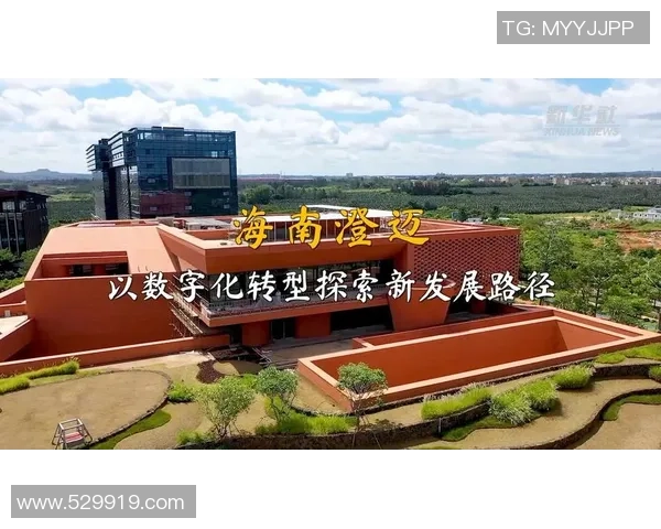 武汉篮球队的控制革新探索与发展路径分析